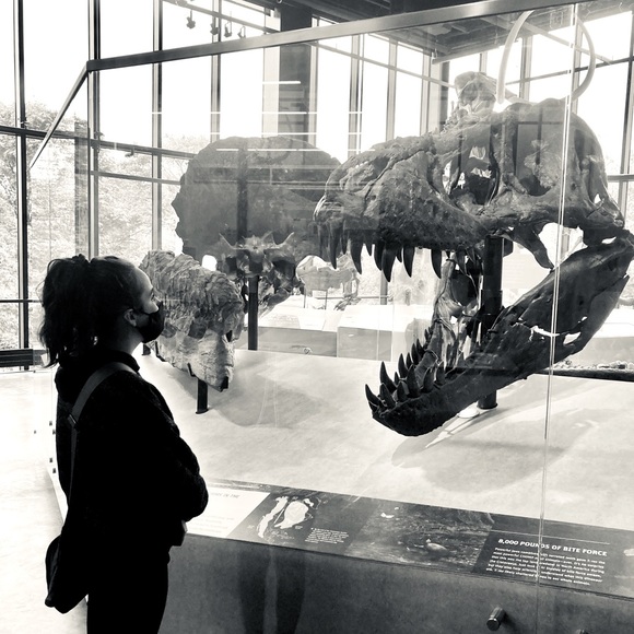 Posher - Picture 1 of 1